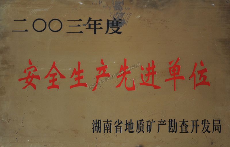 2003年度安全生產(chǎn)先進單位