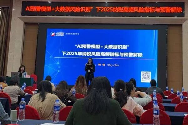 深化AI與大數(shù)據(jù)應(yīng)用，精準(zhǔn)防控2025納稅風(fēng)險(xiǎn)