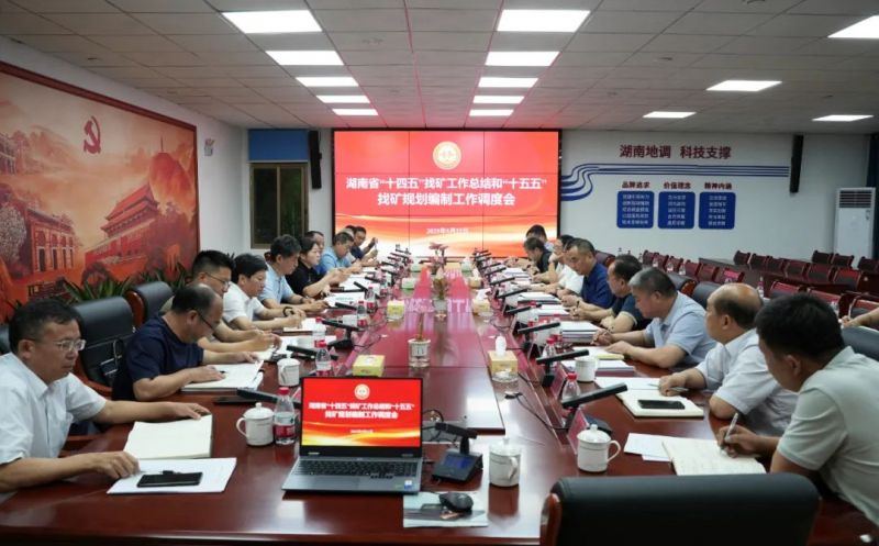省地質(zhì)院調(diào)度湖南省“十四五”找礦總結(jié)及“十五五”規(guī)劃編制工作
